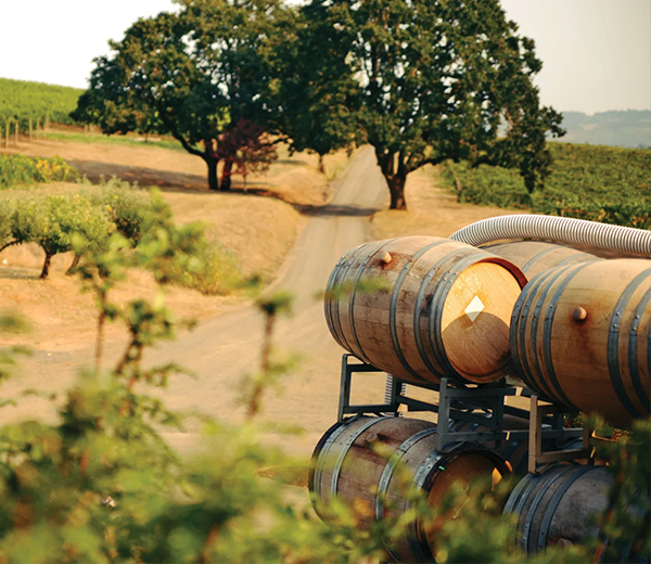 winery